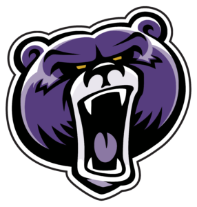 purple bear